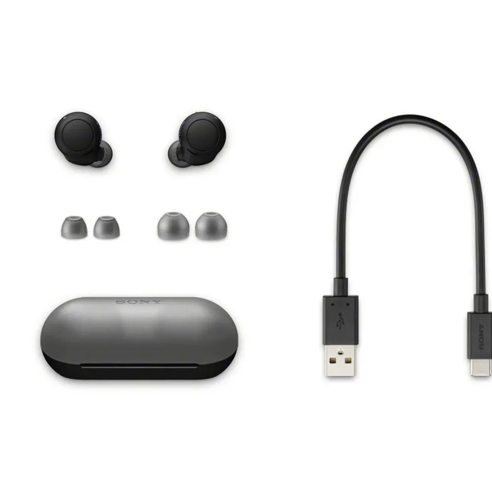 Sony WF-C500 Truly Wireless In-Ear Bluetooth Earbud Headphones